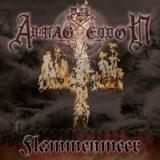 Dark Armageddon - Flammenmeer CD
